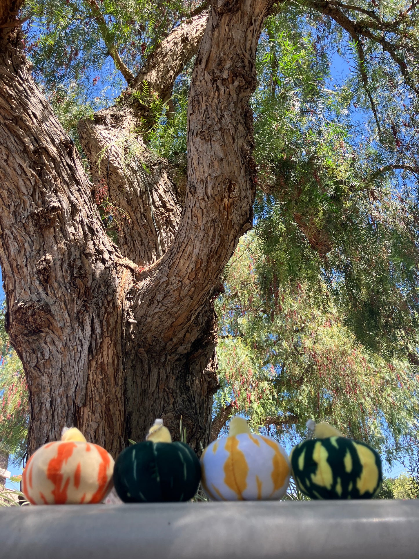 π Pumpkin Pals Plush Keychains β Limited Fall Edition π