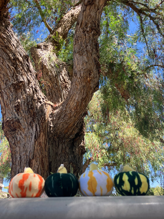 ๐ Pumpkin Pals Plush Keychains โ Limited Fall Edition ๐
