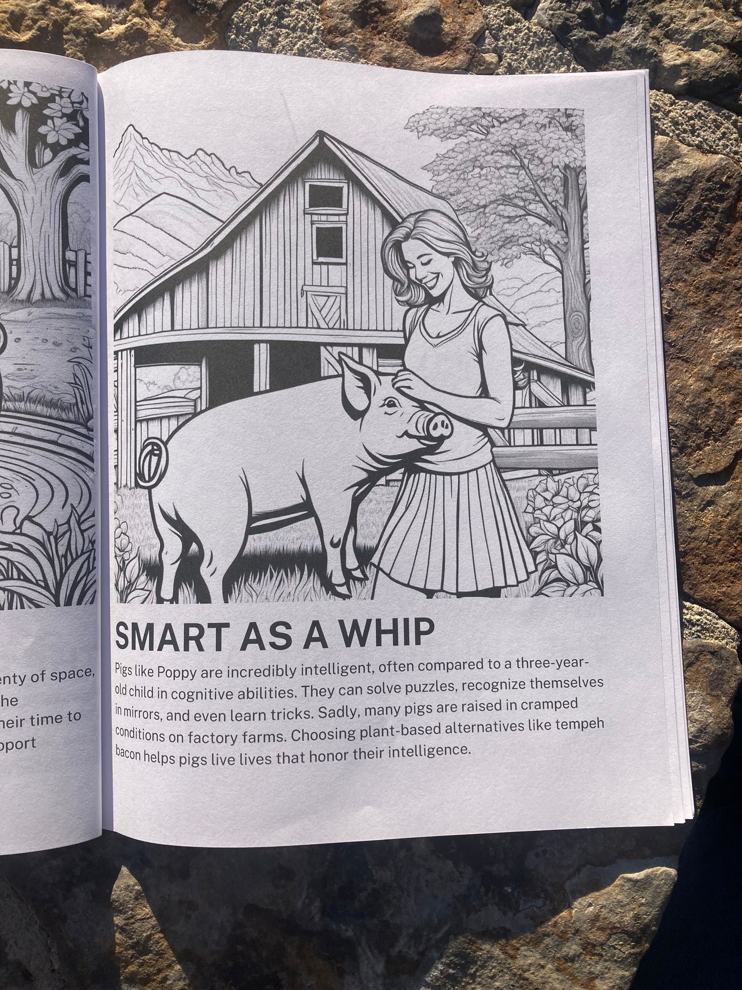 Rescued Farm Animals Coloring Book: Coloring Book of Inspiring Stories, Facts and Plant Based Food Ideas