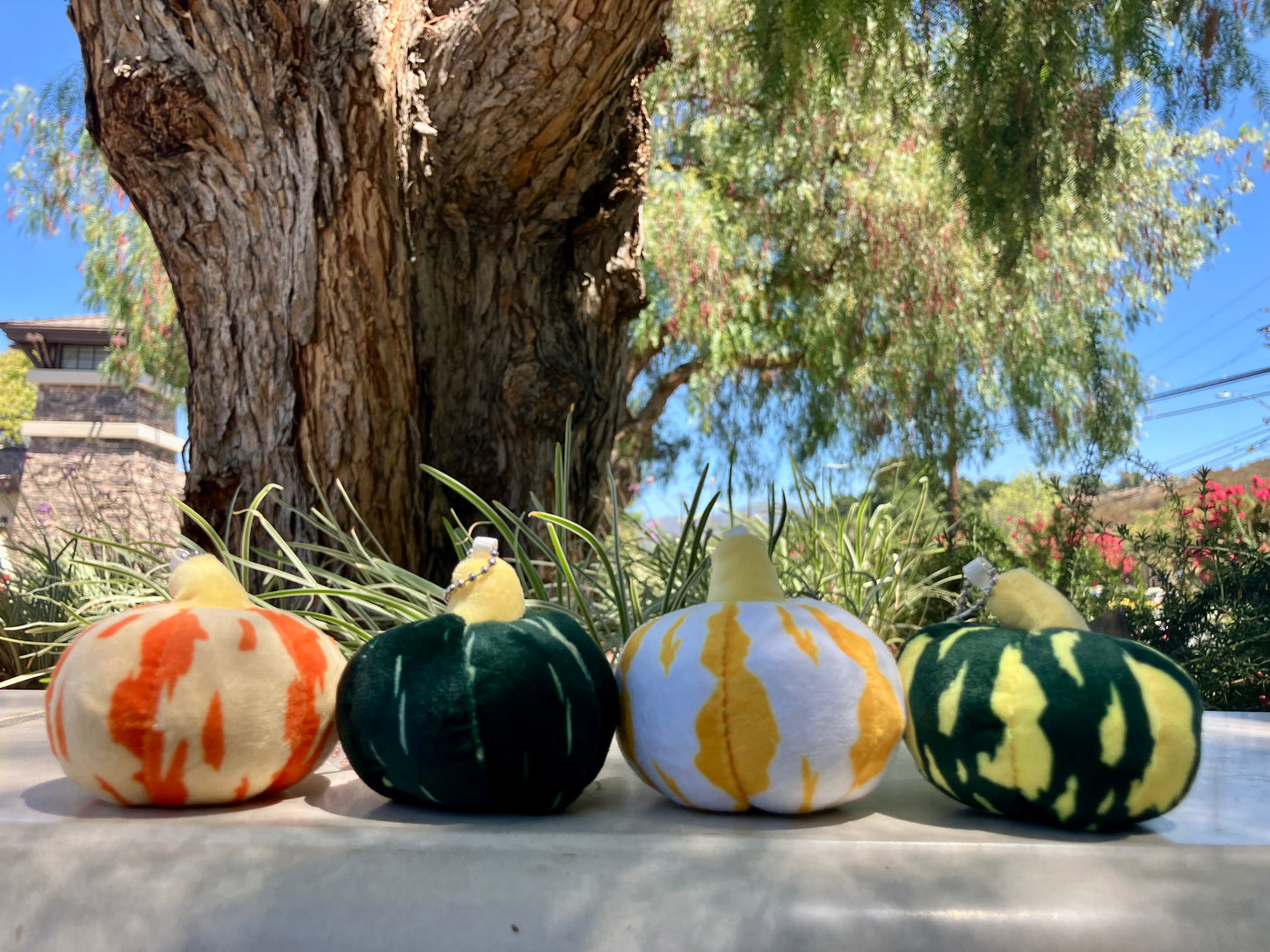 🍂 Pumpkin Pals Plush Keychains – Limited Fall Edition 🎃