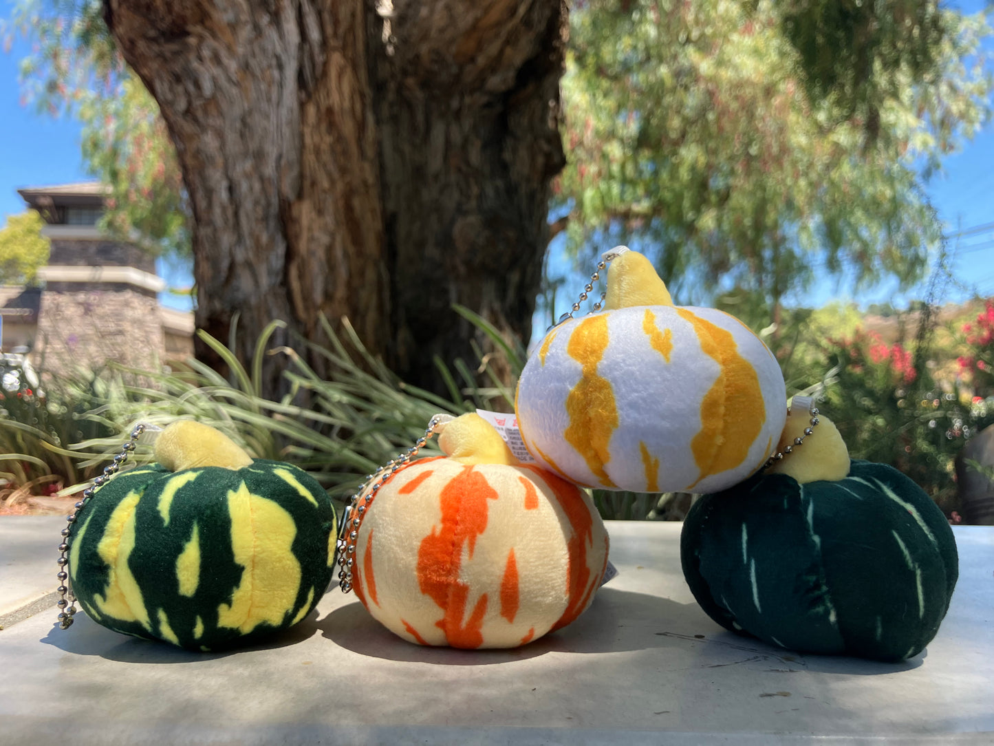 🍂 Pumpkin Pals Plush Keychains – Limited Fall Edition 🎃