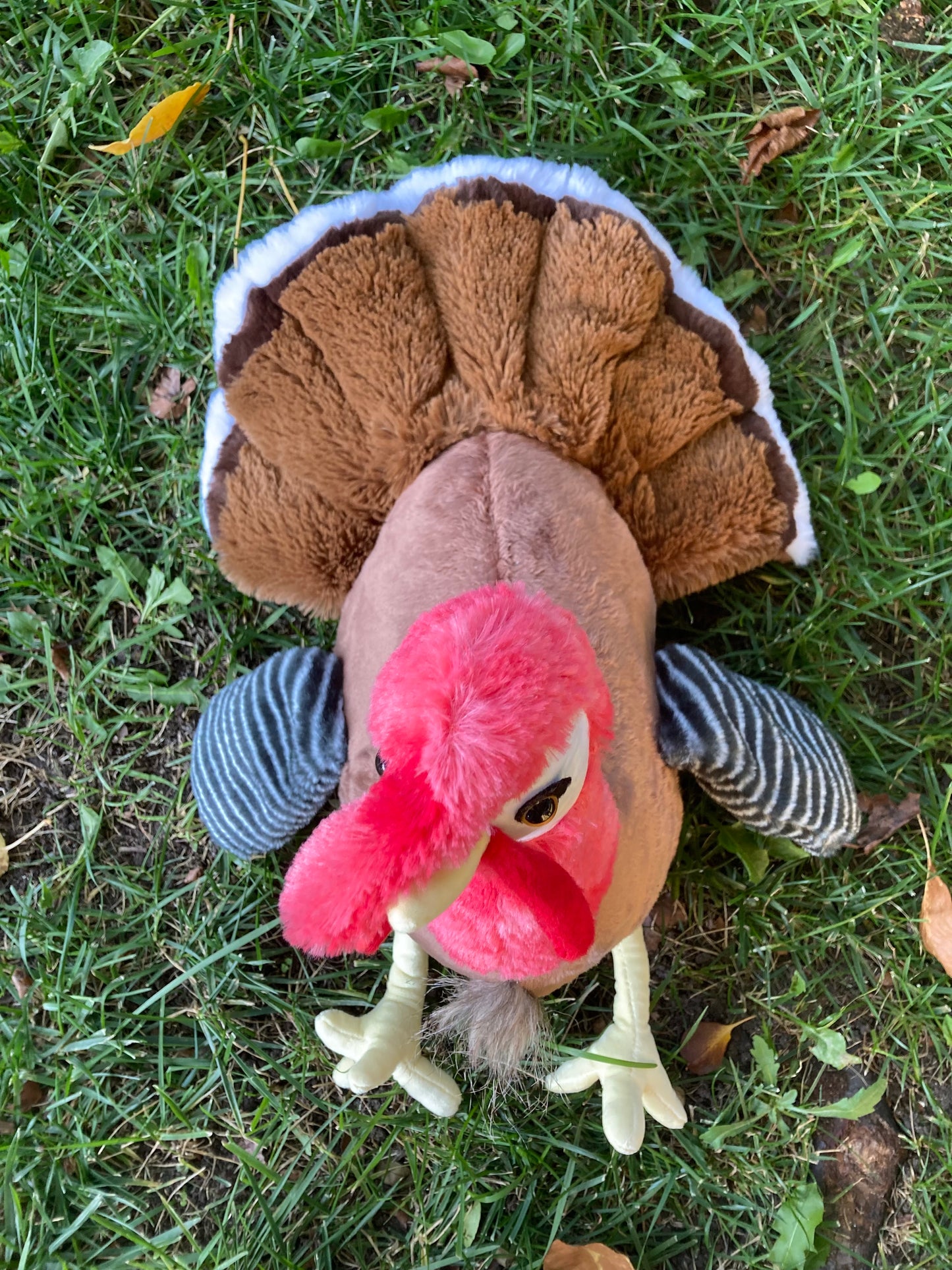 15" Turkey Plush - Realistic Stuffed Farm Animal Toy