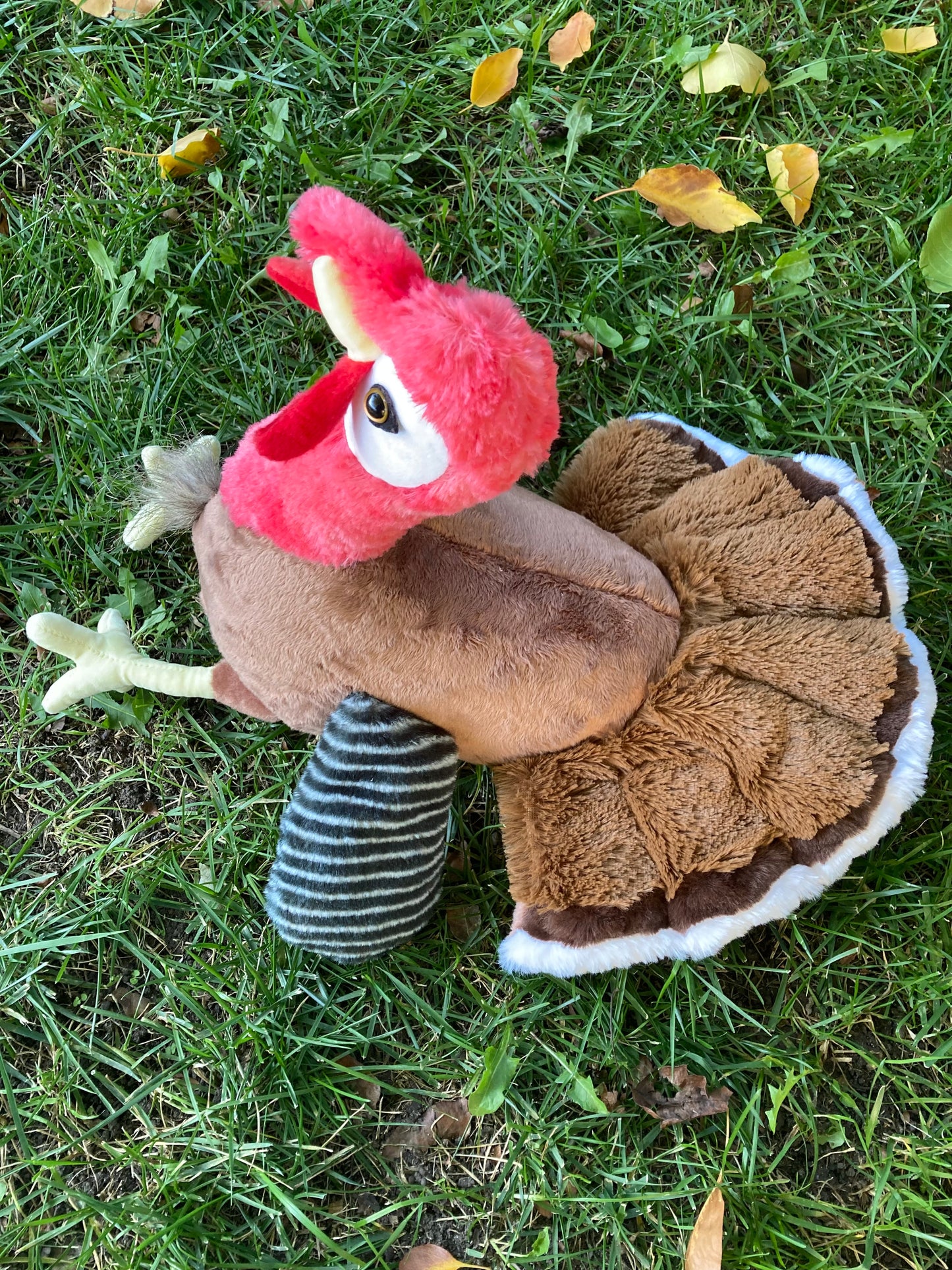 15" Turkey Plush - Realistic Stuffed Farm Animal Toy